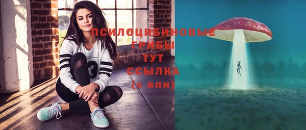 таблы Лиски