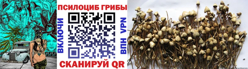 Псилоцибиновые грибы GOLDEN TEACHER  Абдулино 